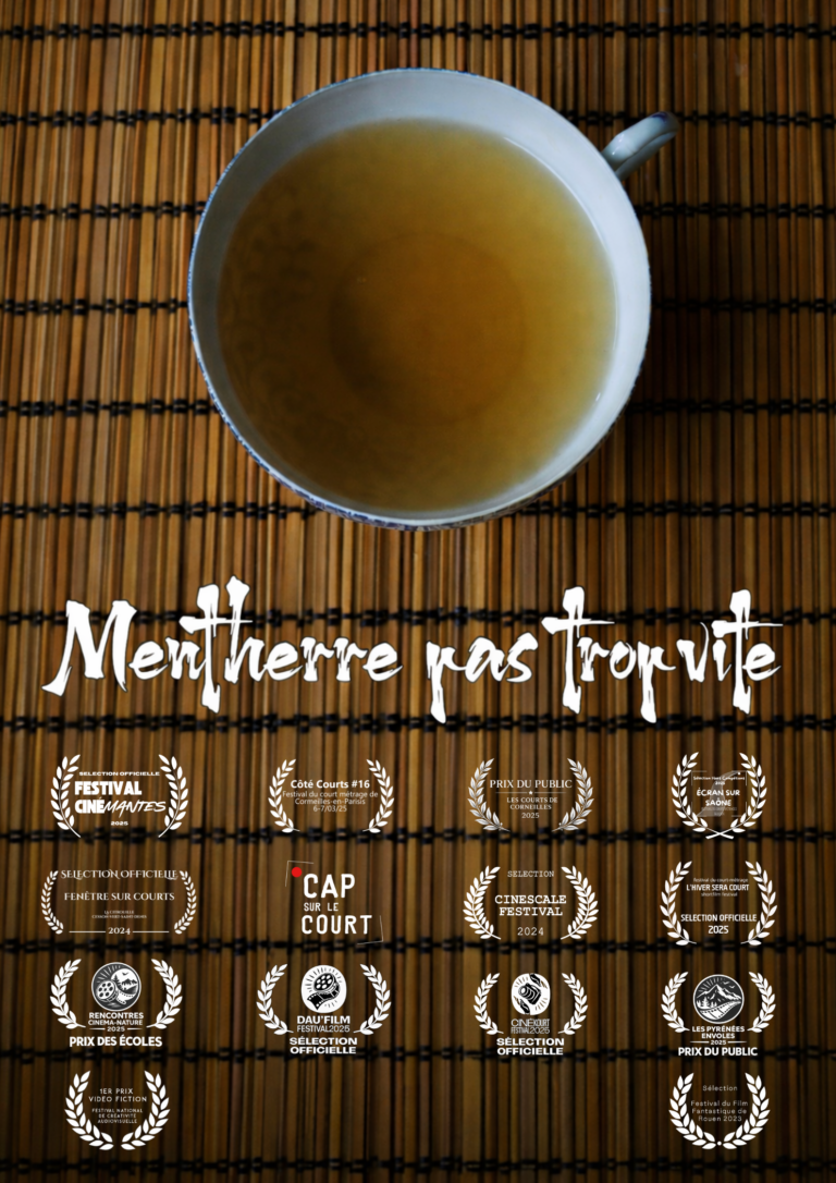 affiche de Mentherre pas trop vite