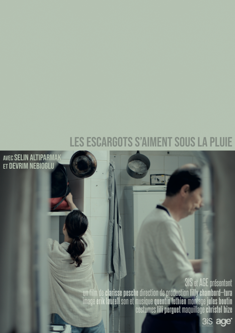 affiche de Les escargots s'aiment sous la pluie